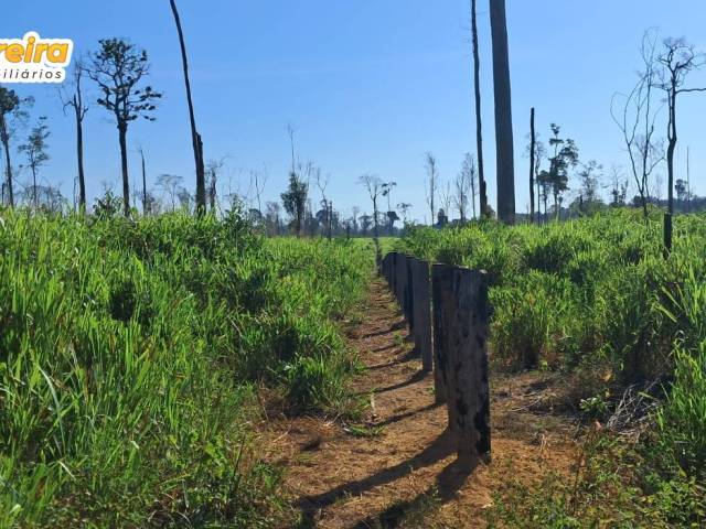 #3221 - Fazenda para Venda em Placas - PA - 2