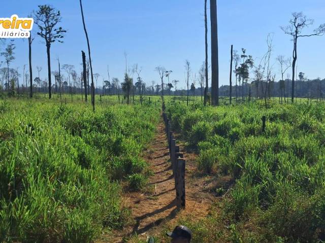 Fazenda para Venda em Placas - 4