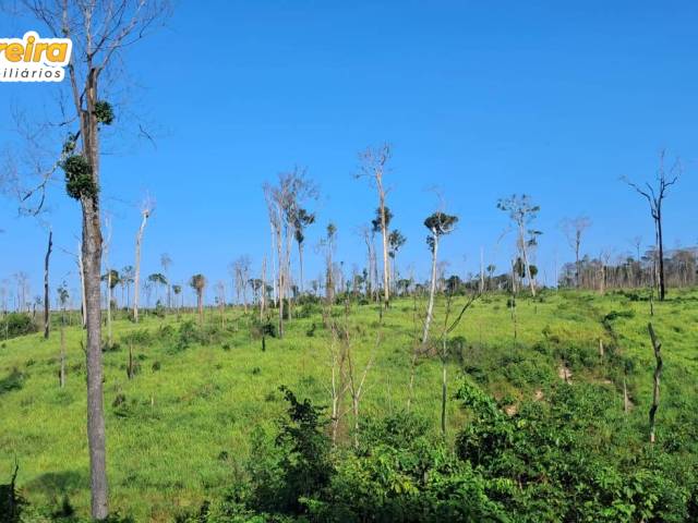 Fazenda para Venda em Placas - 5