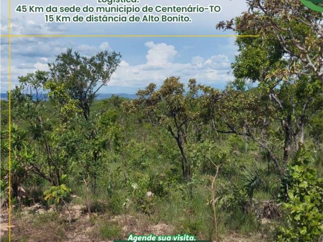 Fazenda para Venda em Centenário - 4