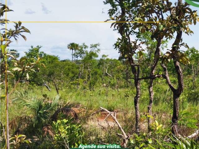 Fazenda para Venda em Centenário - 5