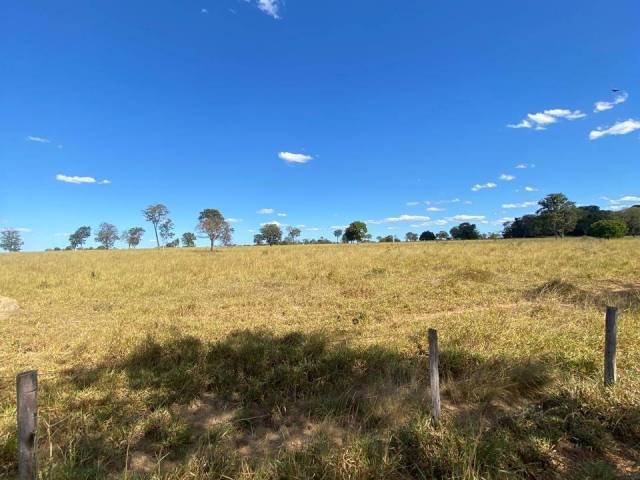 #3223 - Fazenda para Venda em Mundo Novo - GO - 3