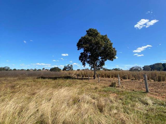 #3223 - Fazenda para Venda em Mundo Novo - GO - 2