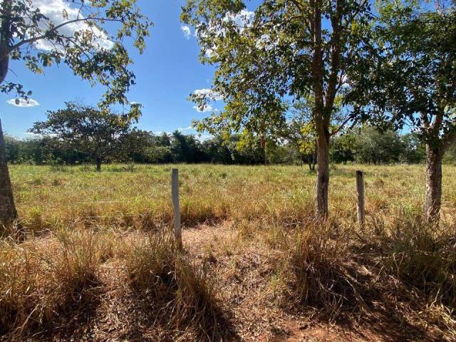 Fazenda para Venda em Mundo Novo - 5