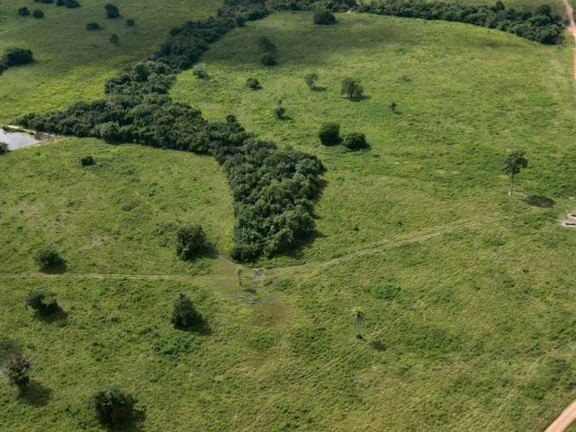 #3224 - Fazenda para Venda em Araguaína - TO - 3