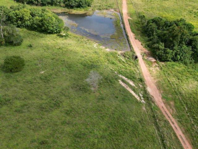 Fazenda para Venda em Araguaína - 4