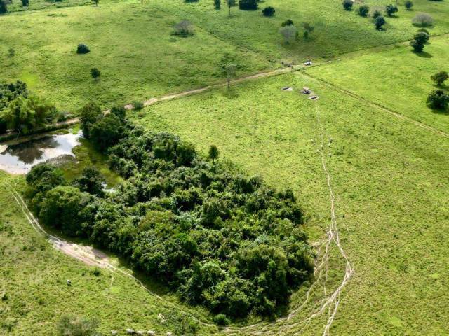 Fazenda para Venda em Araguaína - 5