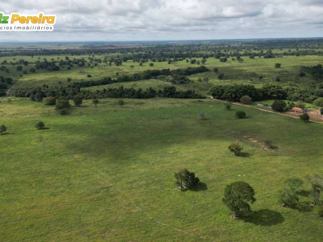 #3224 - Fazenda para Venda em Araguaína - TO - 1