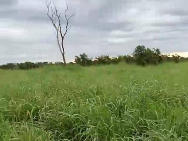 #3225 - Fazenda para Venda em São Valério da Natividade - TO - 3