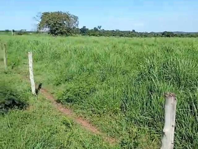 #3225 - Fazenda para Venda em São Valério da Natividade - TO - 2