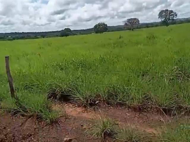Fazenda para Venda em São Valério da Natividade - 5