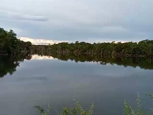 Fazenda para Venda em São Valério da Natividade - 3