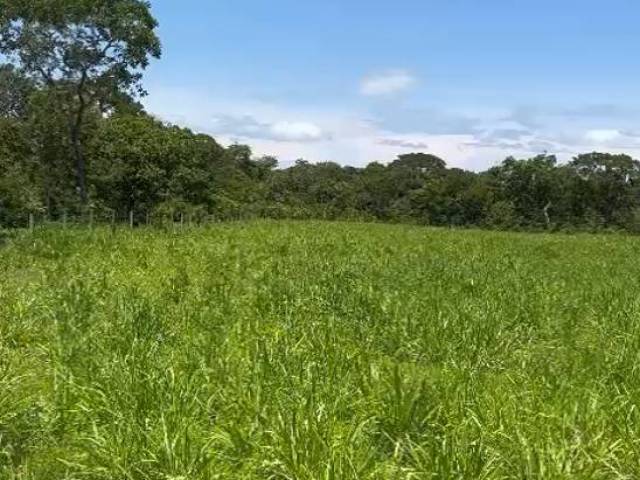 #3225 - Fazenda para Venda em São Valério da Natividade - TO - 1