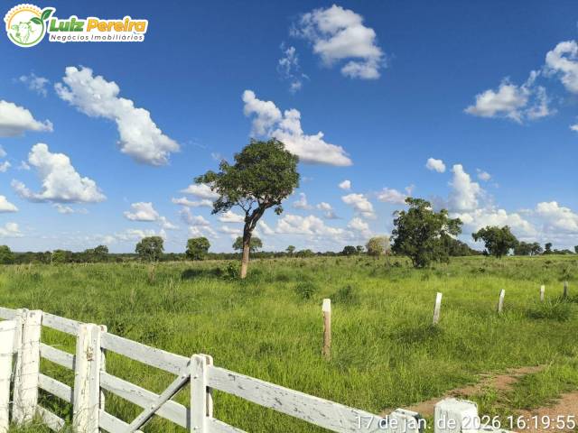 Fazenda para Venda em Araguaçu - 4