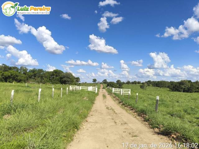#3226 - Fazenda para Venda em Araguaçu - TO