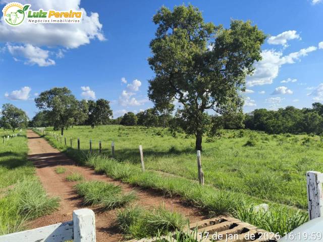 Fazenda para Venda em Araguaçu - 5