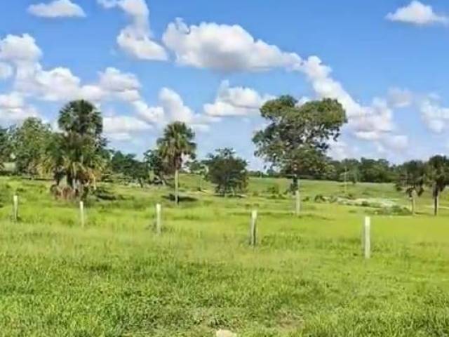 #3226 - Fazenda para Venda em Araguaçu - TO - 1