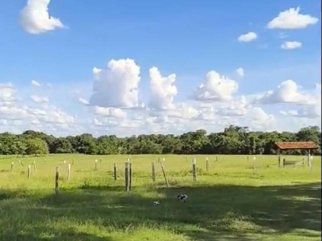#3226 - Fazenda para Venda em Araguaçu - TO - 2