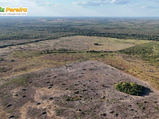 #3227 - Fazenda para Venda em Piraquê - TO - 1