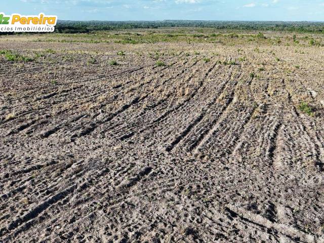 #3227 - Fazenda para Venda em Piraquê - TO - 3