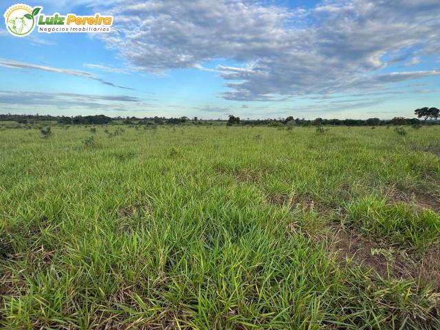 #3228 - Fazenda para Venda em Araguaína - TO - 2