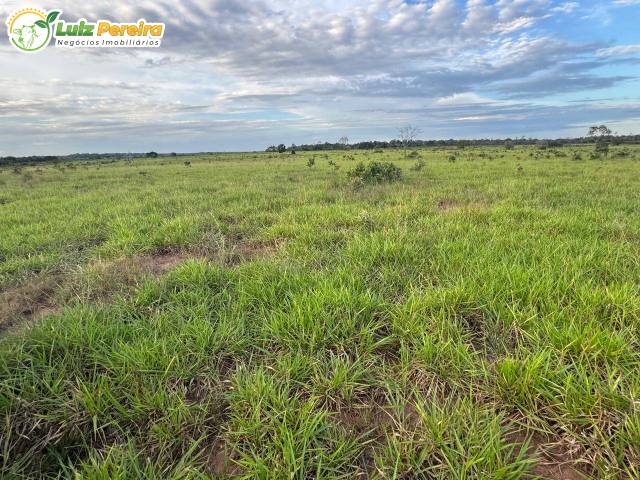 #3228 - Fazenda para Venda em Araguaína - TO - 3