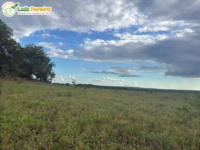 #3228 - Fazenda para Venda em Araguaína - TO - 1
