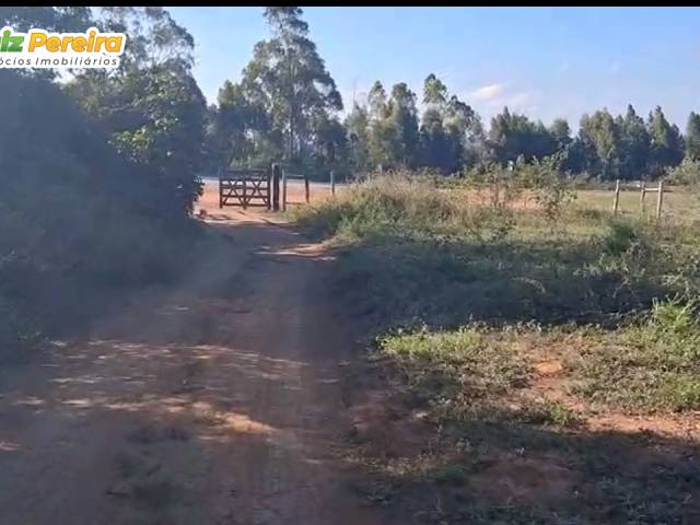 #3229 - Fazenda para Venda em Pedra Azul - MG - 1
