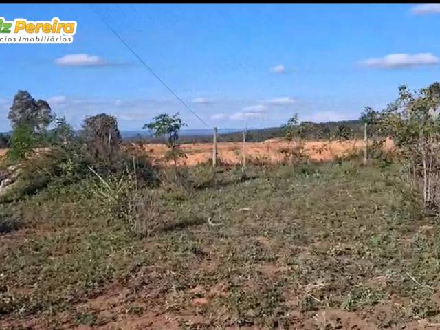 #3229 - Fazenda para Venda em Pedra Azul - MG - 3