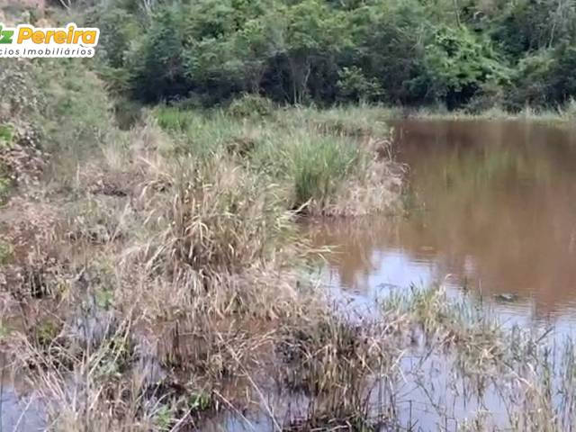 #3229 - Fazenda para Venda em Pedra Azul - MG