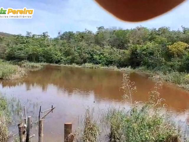 #3229 - Fazenda para Venda em Pedra Azul - MG