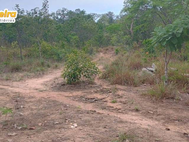 Fazenda para Venda em Palmeirante - 5