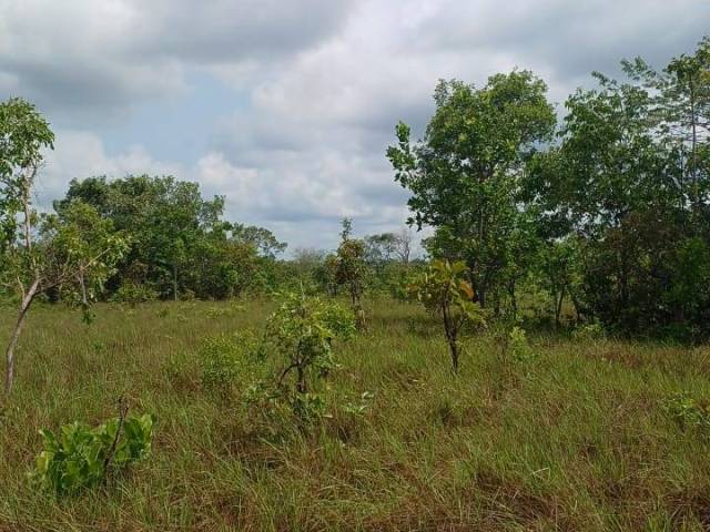 #3230 - Fazenda para Venda em Palmeirante - TO - 1