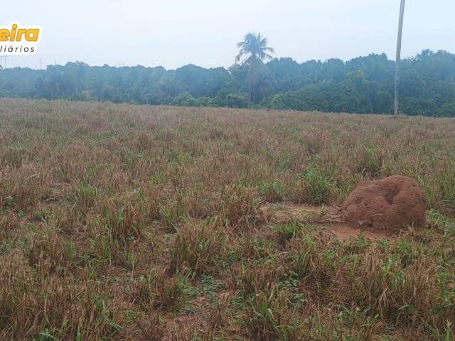 #3230 - Fazenda para Venda em Palmeirante - TO - 2