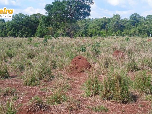 Fazenda para Venda em Palmeirante - 4