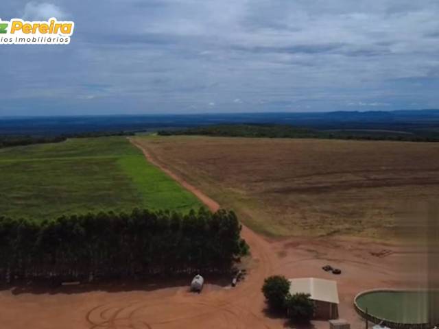 Fazenda para Venda em Rio Verde de Mato Grosso - 4