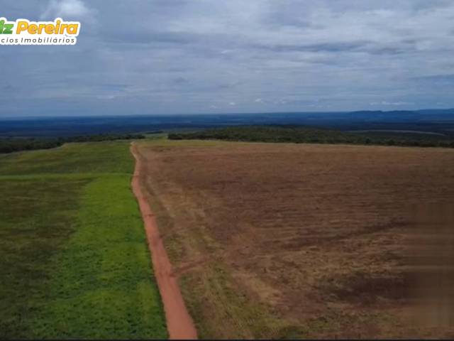 Fazenda para Venda em Rio Verde de Mato Grosso - 5