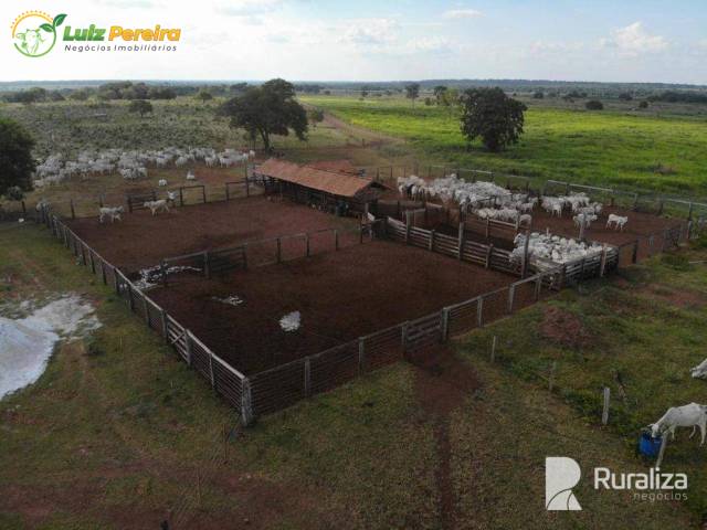 Fazenda para Venda em Paraíso do Tocantins - 4