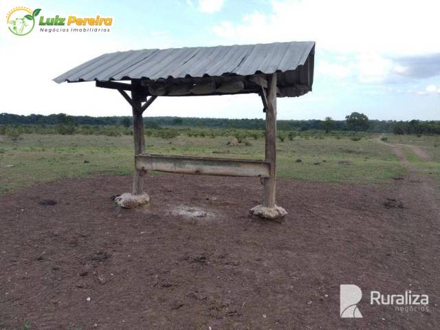 Fazenda para Venda em Paraíso do Tocantins - 5