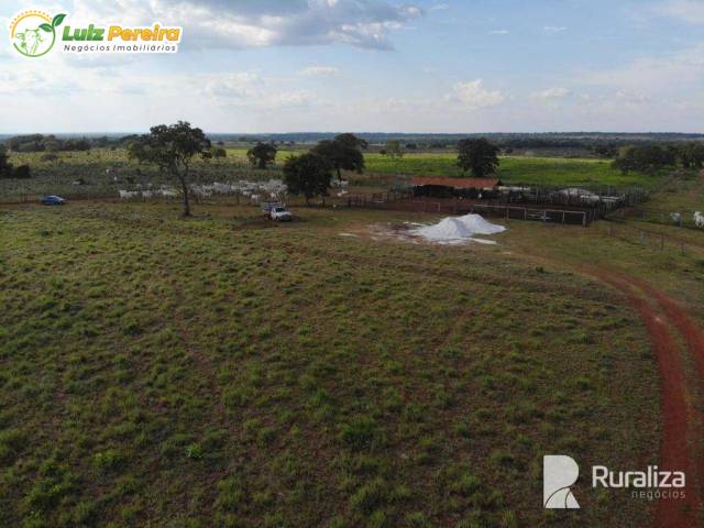 #3233 - Fazenda para Venda em Paraíso do Tocantins - TO - 2