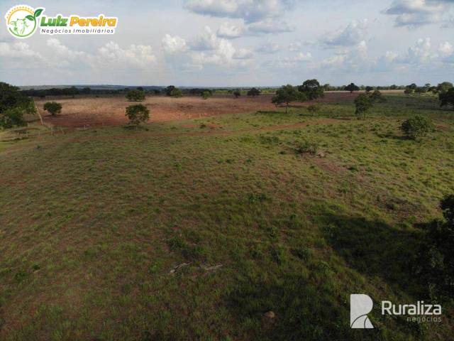 #3233 - Fazenda para Venda em Paraíso do Tocantins - TO - 3