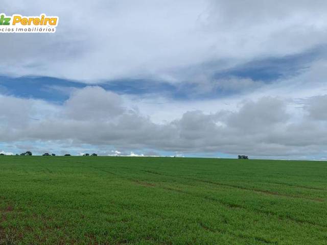 #3232 - Fazenda para Venda em Piraquê - TO - 3