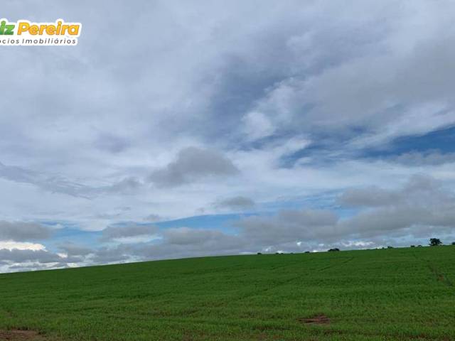 Fazenda para Venda em Piraquê - 4