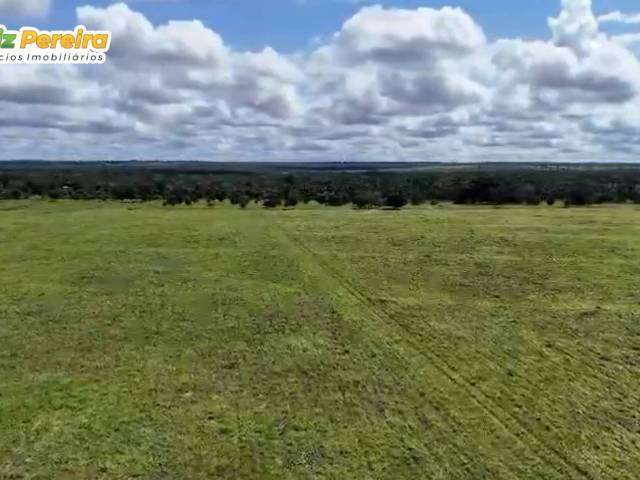 #3232 - Fazenda para Venda em Piraquê - TO - 1