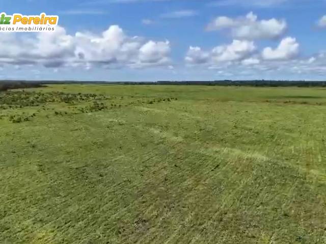 #3232 - Fazenda para Venda em Piraquê - TO - 2