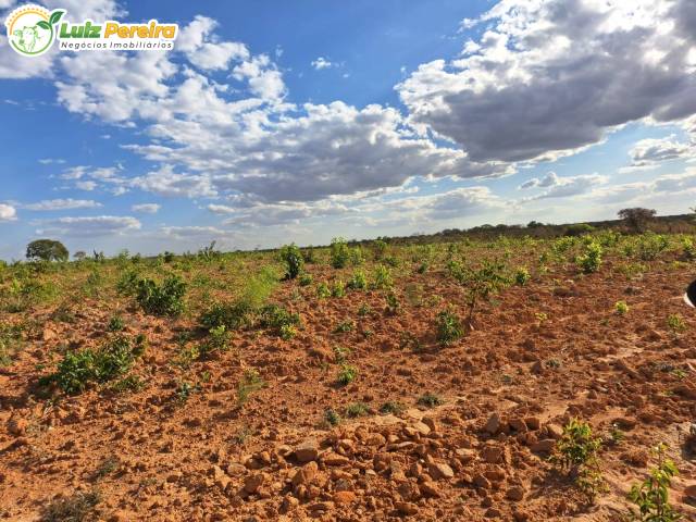 #3235 - Chácara para Venda em Araguaçu - TO - 3