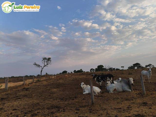 #3235 - Chácara para Venda em Araguaçu - TO - 2