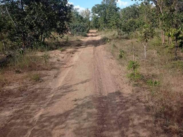 Fazenda para Venda em Araguatins - 4