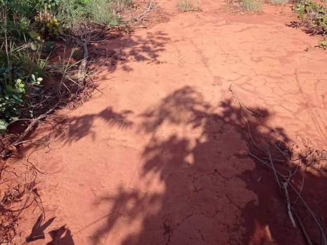 Fazenda para Venda em Araguatins - 5