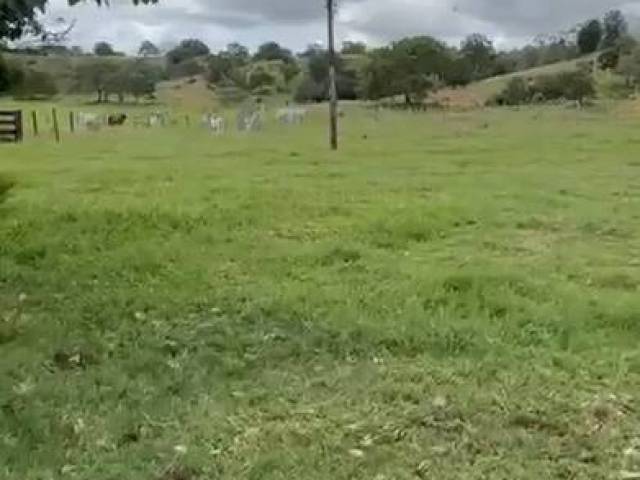 #3234 - Fazenda para Venda em Araguatins - TO - 3